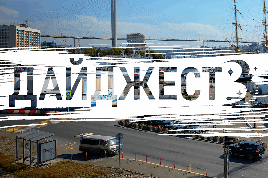 От спасенных жизней до китов в заливе: 5 ярких событий, которые подарили надежду Владивостоку на этой неделе