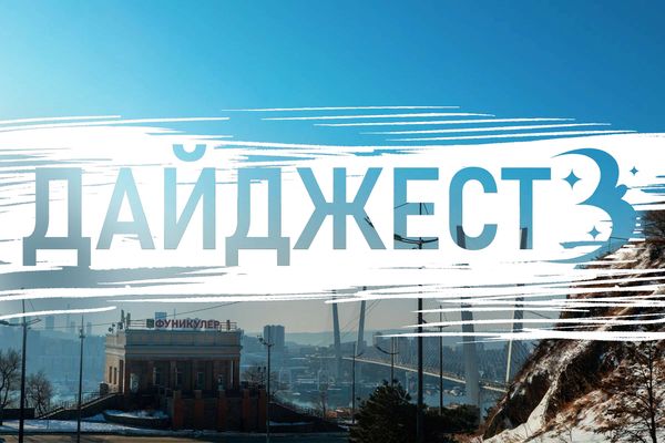 Тюлень-качок, драконы в «Олимпийце» и президент по видеосвязи: новости за неделю