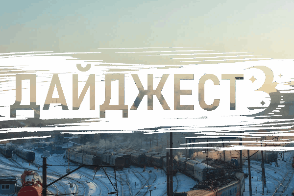 Лучшие новости недели: «Робофест», нерпы в бухте и начало ремонта дорог