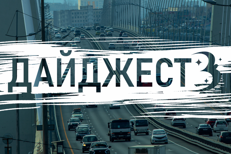 Динозавры, ёлка-гигант и кот-воин: 5 поводов для улыбки в Владивостоке