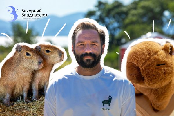 У альпак появились конкуренты: как живут капибары во Владивостоке