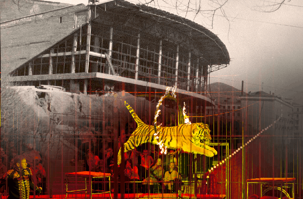 Как хрупкая женщина-архитектор создала легендарный цирк на берегу Японского моря