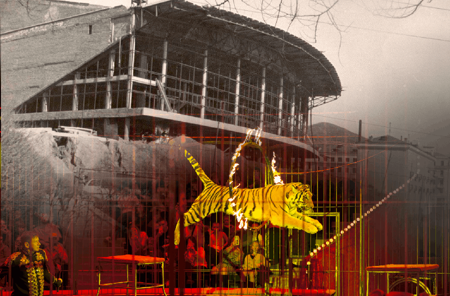 Как хрупкая женщина-архитектор создала легендарный цирк на берегу Японского моря