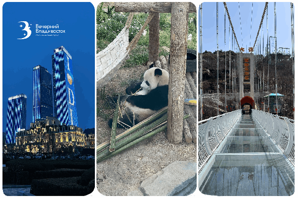 Лучше Даляня – только Далянь новогодний: тур с прямым перелетом всего за 48 800 рублей