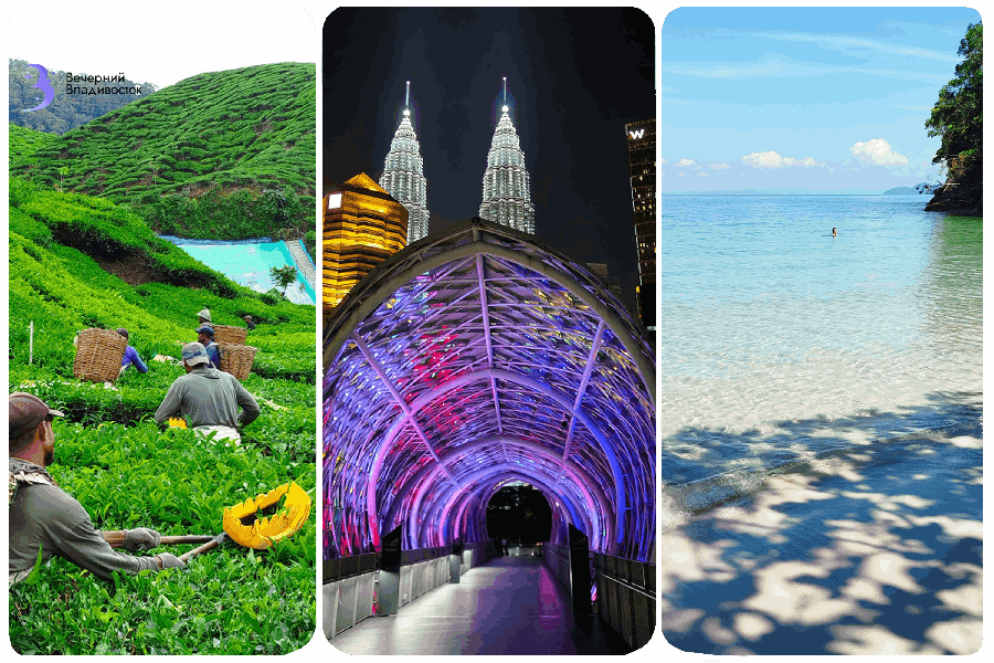 Это вам не Таиланд: Малайзии с ее выгодными ценами предрекают бешеную популярность в 2026-м