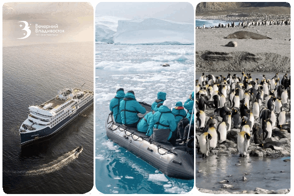 Страшно красивая Антарктида: стоит ли миллион того, чтобы рвануть к пингвинам