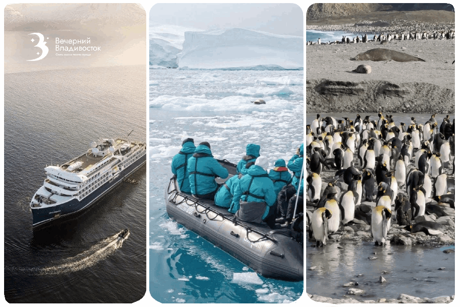 Страшно красивая Антарктида: стоит ли миллион того, чтобы рвануть к пингвинам
