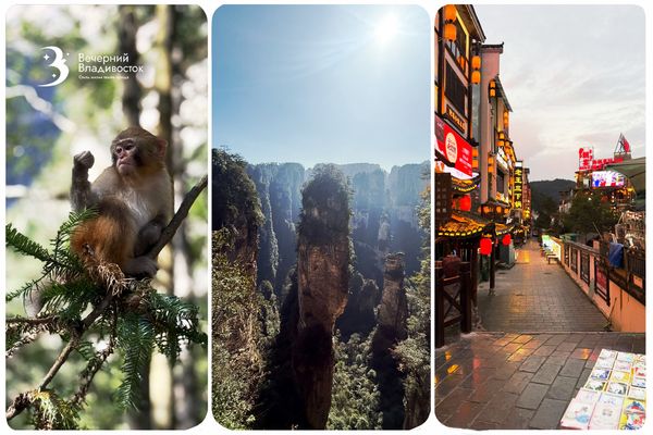 Впервые из Приморья: Прямой рейс в сердце «Аватара». Как бюджетно улететь в пейзажи голливудских блокбастеров?