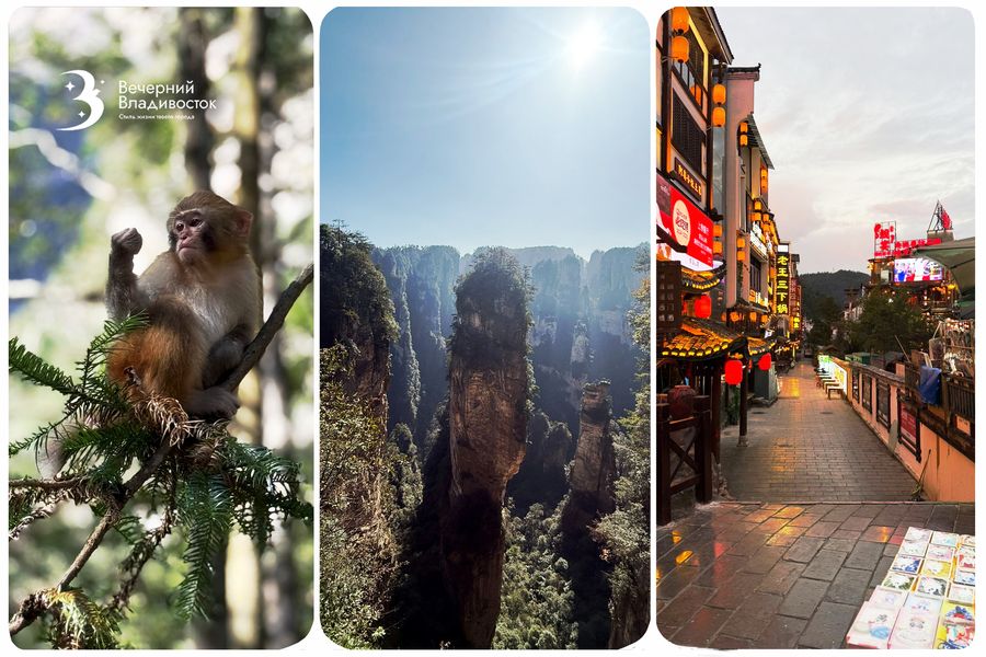 Впервые из Приморья: Прямой рейс в сердце «Аватара». Как бюджетно улететь в пейзажи голливудских блокбастеров?