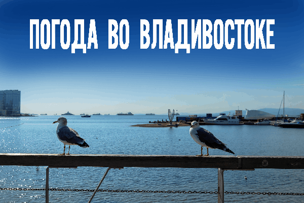 Во Владивостоке и Приморье в понедельник установится морозная погода