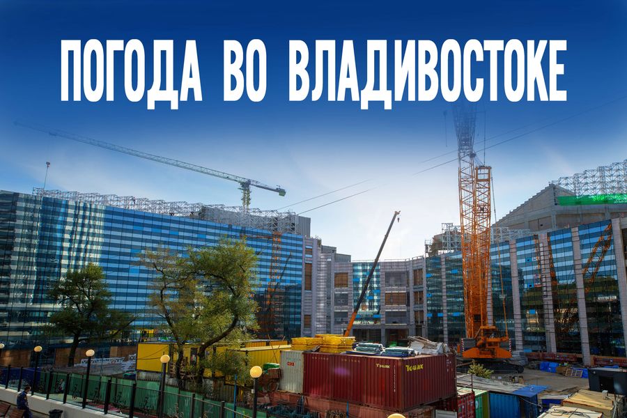 Загадка осеннего дня. Чем запомнится 24 ноября в Приморье