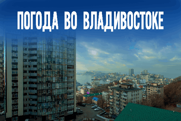 Существенные заморозки прогнозируют синоптики на сегодня во Владивостоке