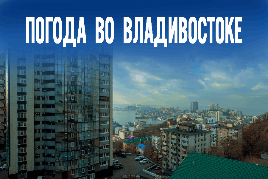 Существенные заморозки прогнозируют синоптики на сегодня во Владивостоке