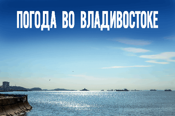 Без осадков и с ветром. Прогноз погоды на 13 ноября
