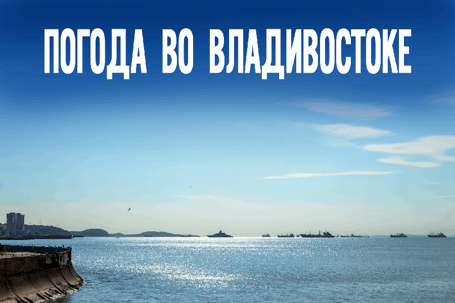 Без осадков и с ветром. Прогноз погоды на 13 ноября