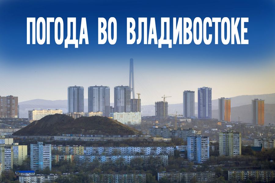 Сегодня солнце в упряжке. Успеет ли оно разогнать тучи хотя бы к вечеру?