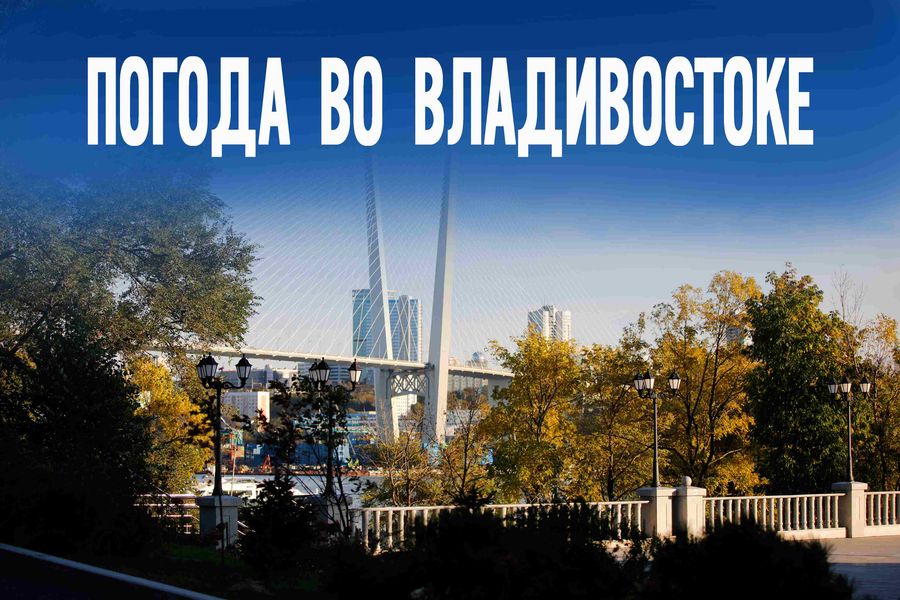 Туман, дождь или солнце? Погода на сегодня во Владивостоке и Приморье