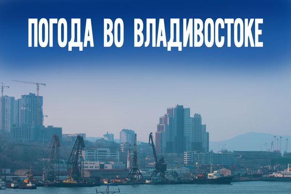 Всего 4 часа дождя: прогноз для Владивостока на 6 апреля