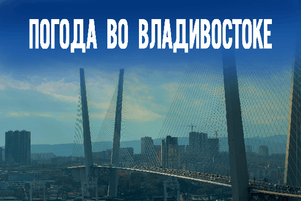 Во Владивостоке обещают идеальный зимний день без ветра и снега
