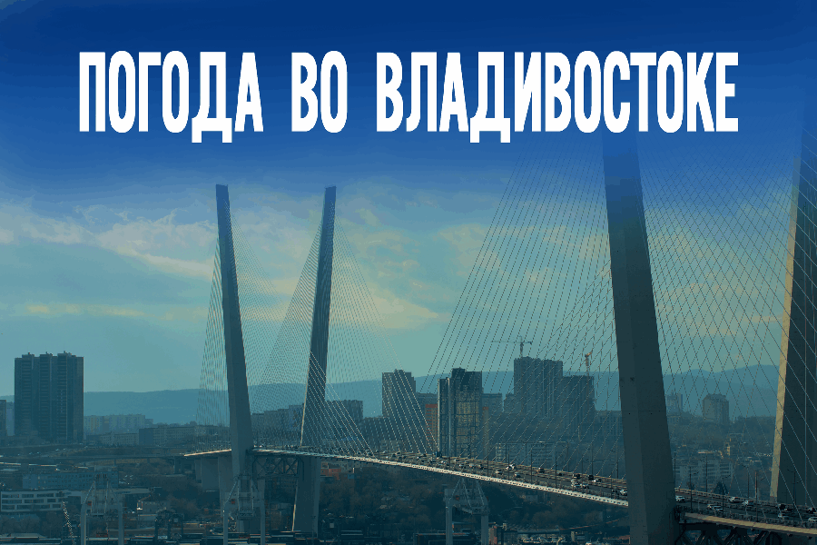 Во Владивостоке обещают идеальный зимний день без ветра и снега