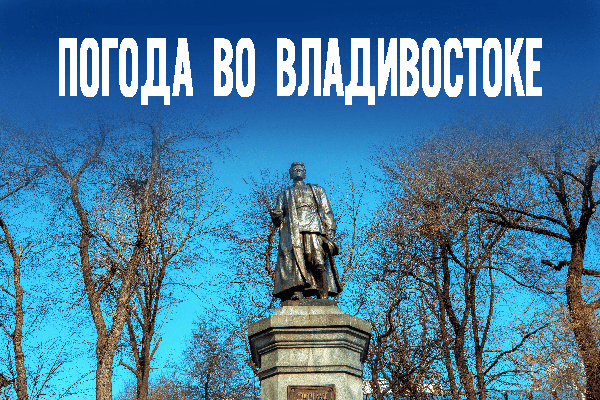От -11° утром до -7° вечером: погода на сегодня в Приморье
