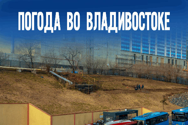 День без осадков, но с сюрпризом: что спрятала осень на вечер?