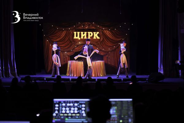 Сочувствовать волку и ненавидеть трех поросят? Раскрываем новый взгляд на привычную сказку