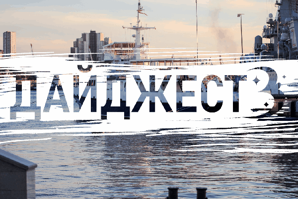 Домашняя лиса на выгуле, новый авиарейс в тропики, змея в центре города: подборка ярких новостей недели
