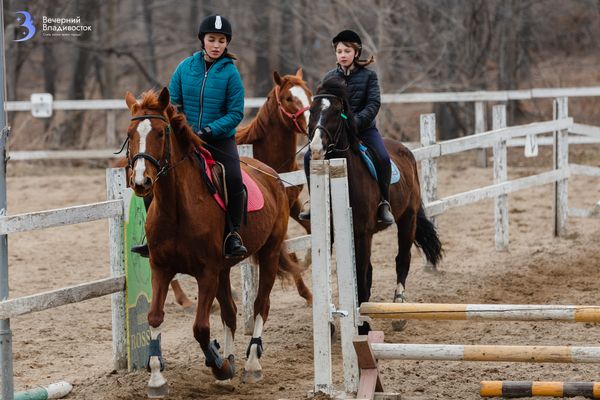 Где покататься на лошадях: топ-5 конных клубов Владивостока