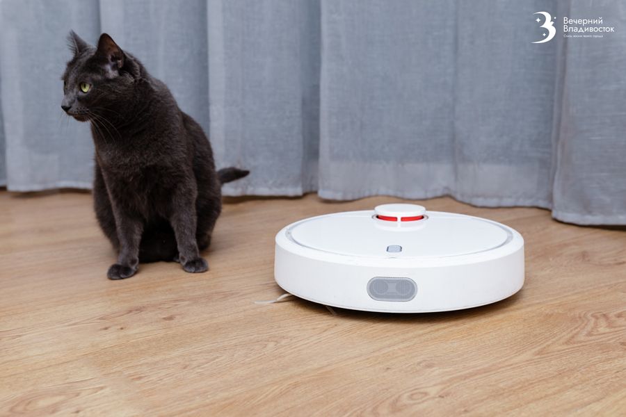 Приморцы сбежали в книги. Названа причина резкого роста читательской активности в этом году