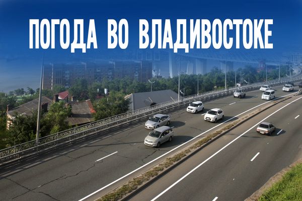 Ураганный ветер или штиль? Почему прогнозы сегодня противоречат друг другу