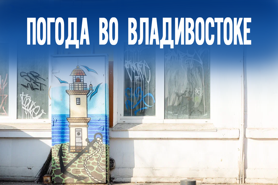 Держим нос по ветру: достаём галоши