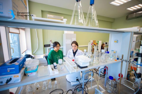 «Наука — это 24/7»: Как живут и что открывают ученые в самой молодой лаборатории Владивостока?