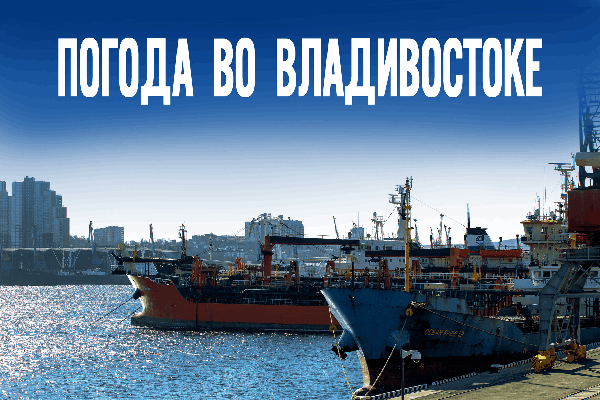 Не прячьте шапки: во Владивосток пришли -2 градуса и дикий ветер