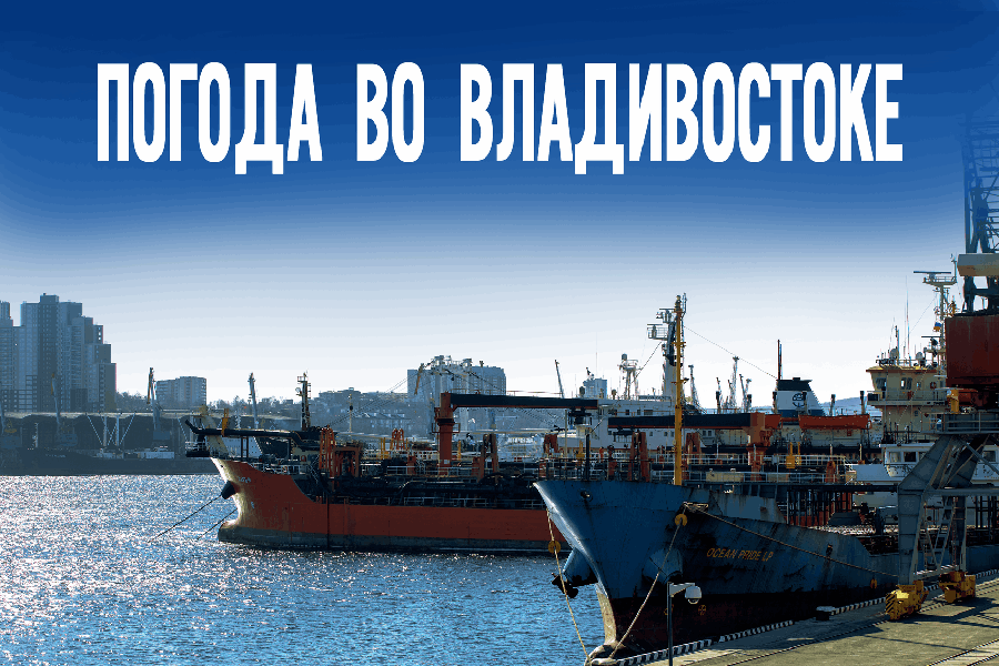 Не прячьте шапки: во Владивосток пришли -2 градуса и дикий ветер