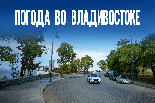 Ветер переменится и принесёт ясную погоду — детали прогноза на сегодня