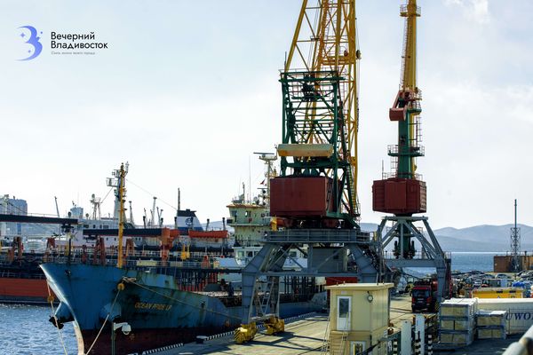 Рекорд 252 млн тонн: как и почему Дальний Восток стал главным логистическим окном для спецтехники