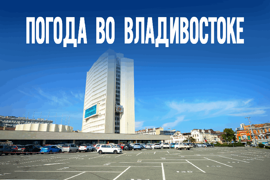 Синоптики рассказали, каким будет первый день ноября в Приморье