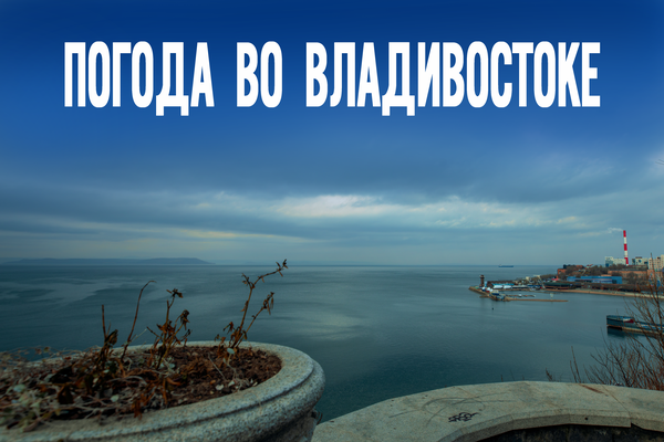 От -9°C утром до -3°C вечером: антициклон подарит региону солнечный и маловетреный зимний день