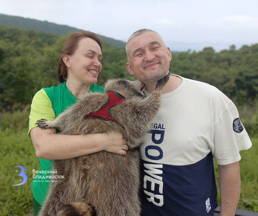 Блогер, путешественник, звезда: самый знаменитый енот Владивостока