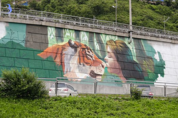 Сила поцелуя: новый арт-объект о гармонии тигра и человека создают во Владивостоке