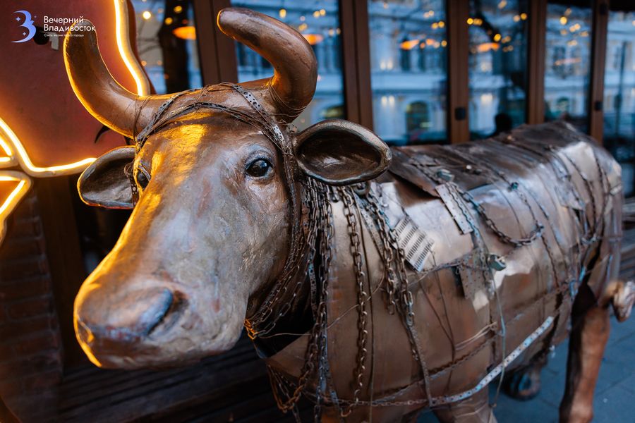 Налоги, сборы, отмена льгот: обсуждаем самые резонансные законы-2026