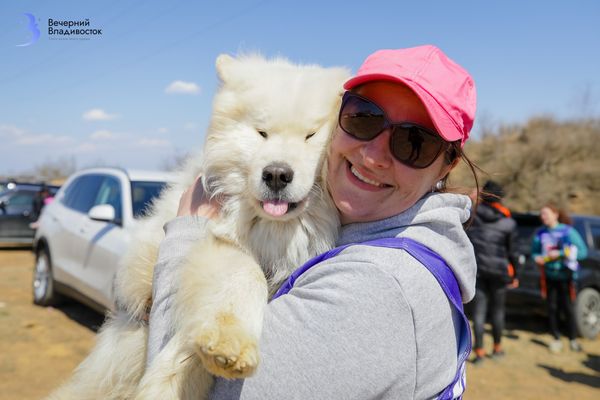 Ездовые собаки в весенней упряжке: красота и азарт соревнований «Ветер Весны»