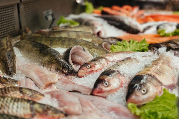 FISHки отрасли: Владивосток примет участников рыбопромышленного форума