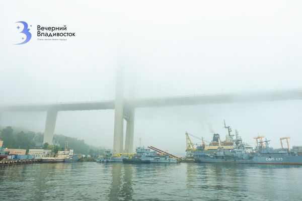 Владивосток «завис» в тумане на четыре дня подряд: кругом пелена, а синоптики обещают ливни и грозы