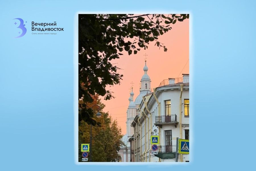 Легендарные мосты, белые ночи и шаверма на обед. Гид по Санкт-Петербургу для приморцев — полный обзор