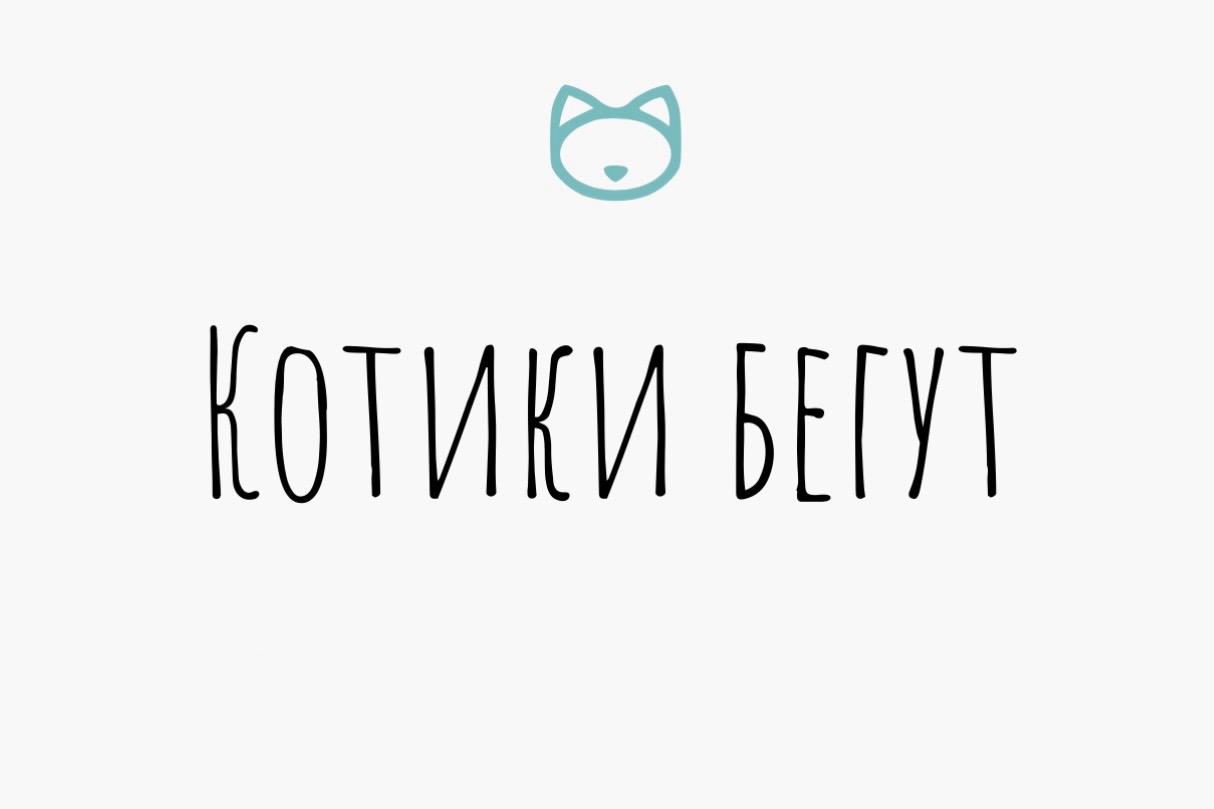 Котики бегут