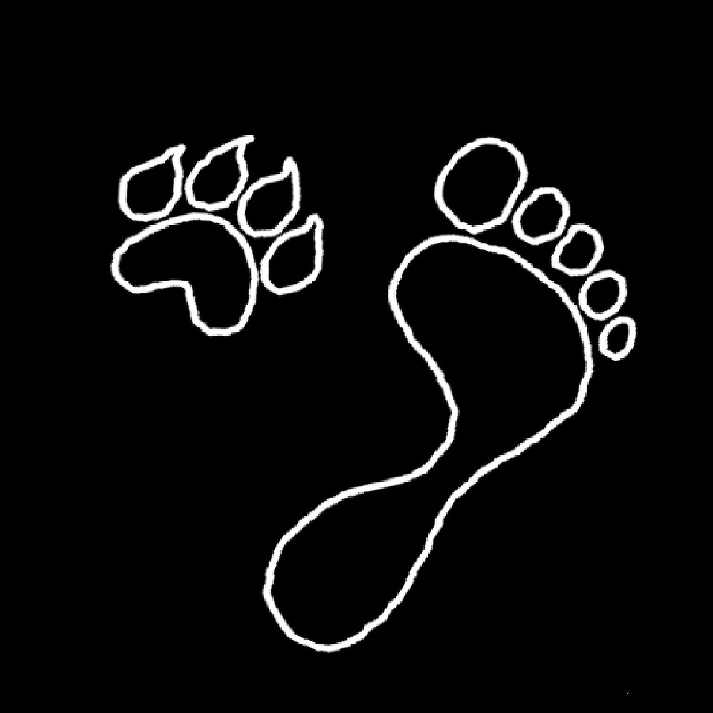 Беговая группировка Одной Тропой