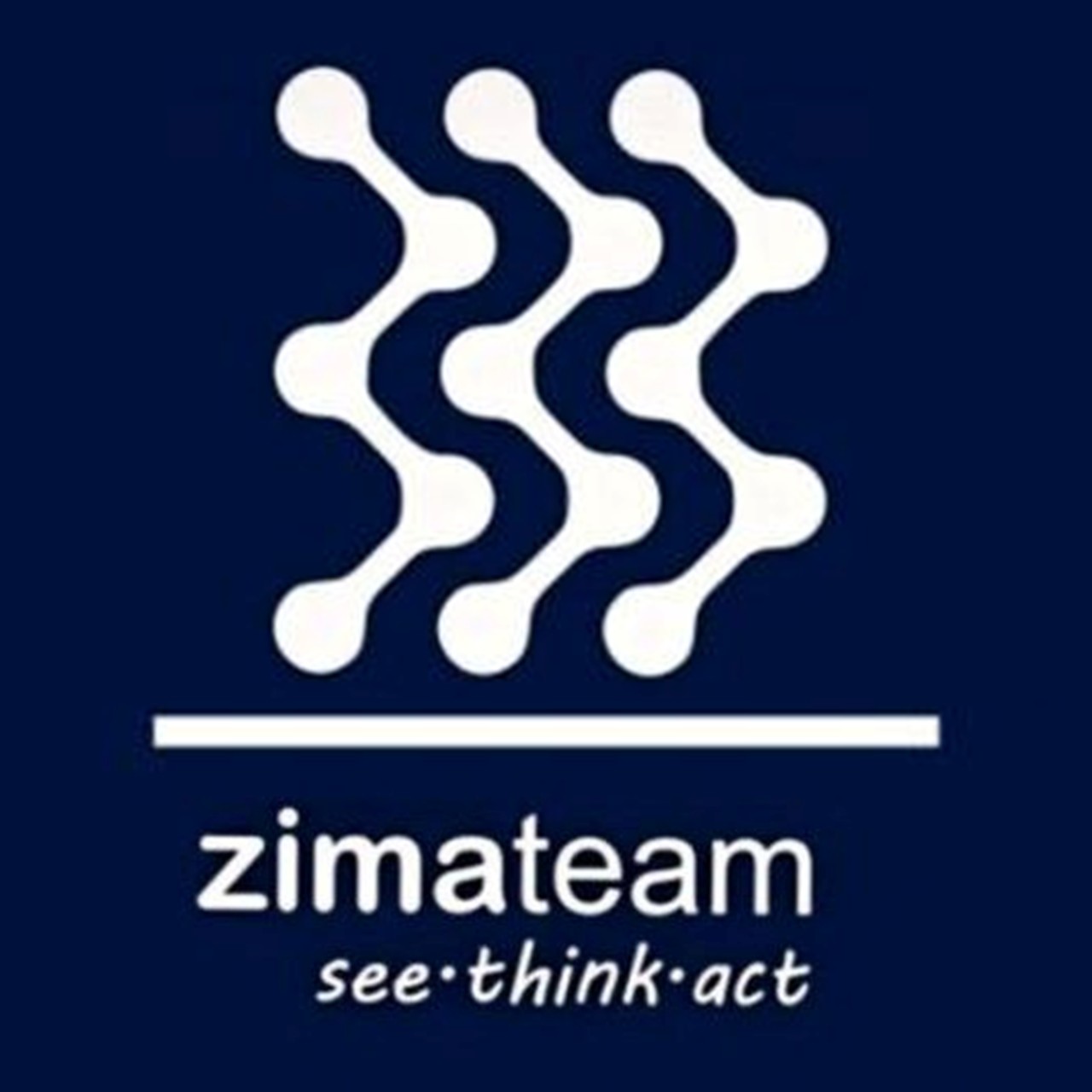 ZIMATEAM 