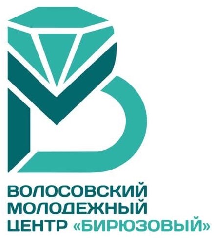 Логотип Волосовский молодежный центр "Бирюзовый"